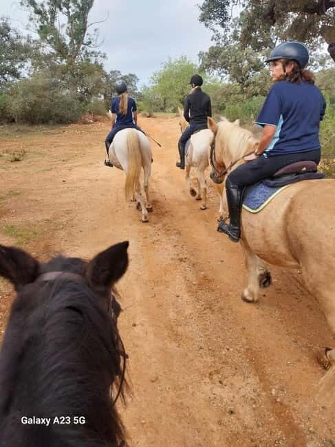 Loulé: Guided Horse Riding in the Hills of Tor - Discover the Real Algarve on Horseback