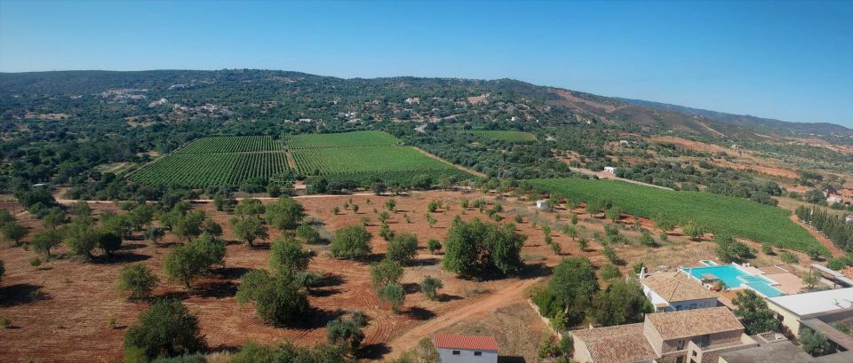 Loulé: Quinta Da Tôr Winery Guided Tour and Wine Tasting - Visitor Feedback