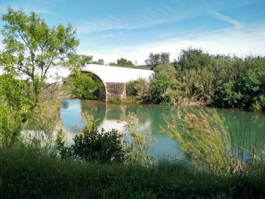 Loulé: Quinta Da Tôr Winery Guided Tour and Wine Tasting - Booking Information