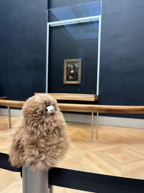 Louvre Museum Entry Ticket and Private Guided Tour - Highlights and Experience