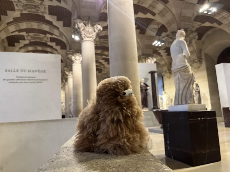 Louvre Museum Entry Ticket and Private Guided Tour - Visitor Guidelines