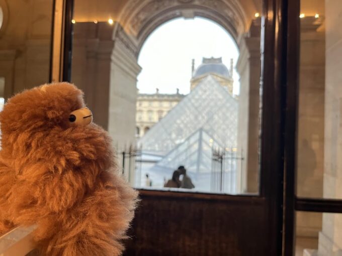 Louvre Museum Entry Ticket and Private Guided Tour - Navigating the Museums Vast Collection