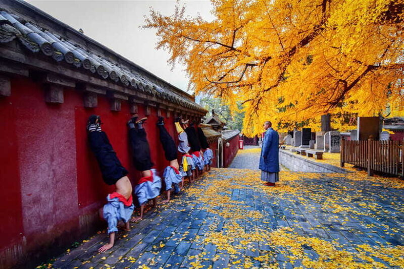 Louyang Day Tour from Xian: Longmen Grottoes, Shaolin Temple - Authentic Experiences and Traveler Feedback