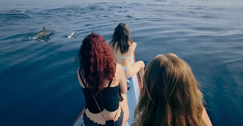Lovina-Bali: Dolphin Watching & Snorkeling; Hot Spring - Good To Know