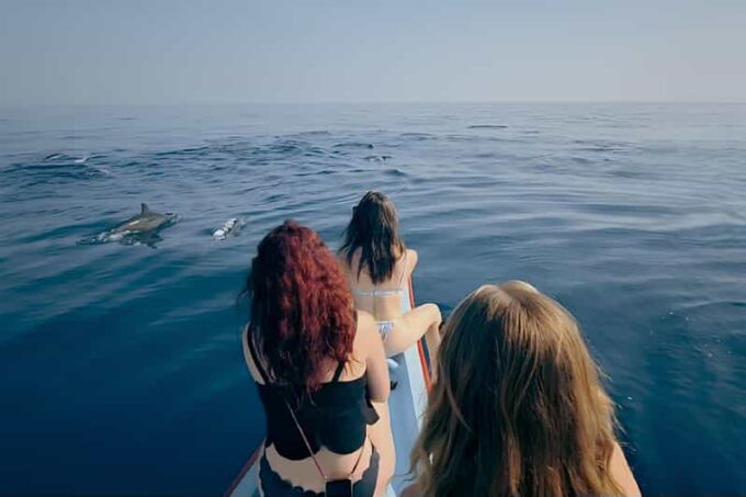 Lovina-Bali: Dolphin Watching & Snorkeling; Hot Spring - Pickup and Drop-off Locations