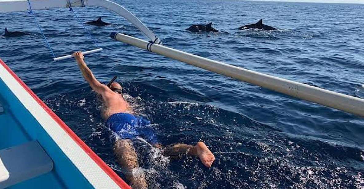 Lovina/Bali: Dolphin Watching, Swimming, and Snorkeling Tour - Key Points