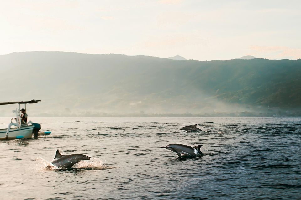 Lovina Dolphin and North Bali Sightseeing - All Inclusive - Ulun Danu Beratan Temple
