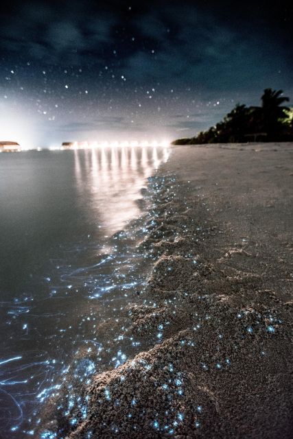 Lovina Dolphins: 2-Day Tour of Northern Bali With Spa - Key Points
