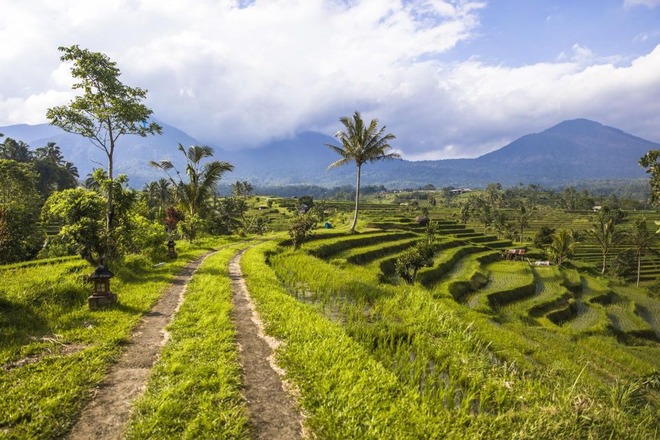 Lovina Dolphins: 2-Day Tour of Northern Bali With Spa - Banyumala Waterfall