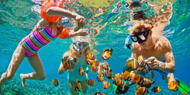 Lovina : Lovina Dolphin tour and Lovina Snorkeling reef - Whats Included and Whats Not