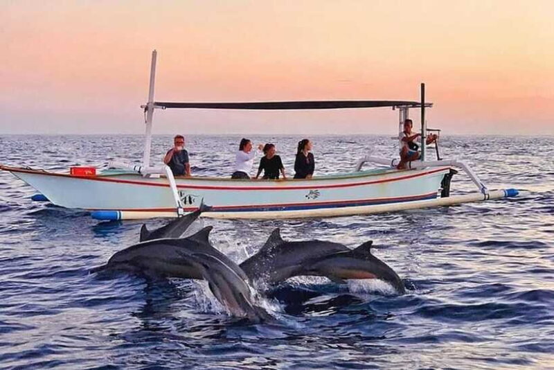Lovina : Lovina Dolphin tour and Lovina Snorkeling reef - FAQ
