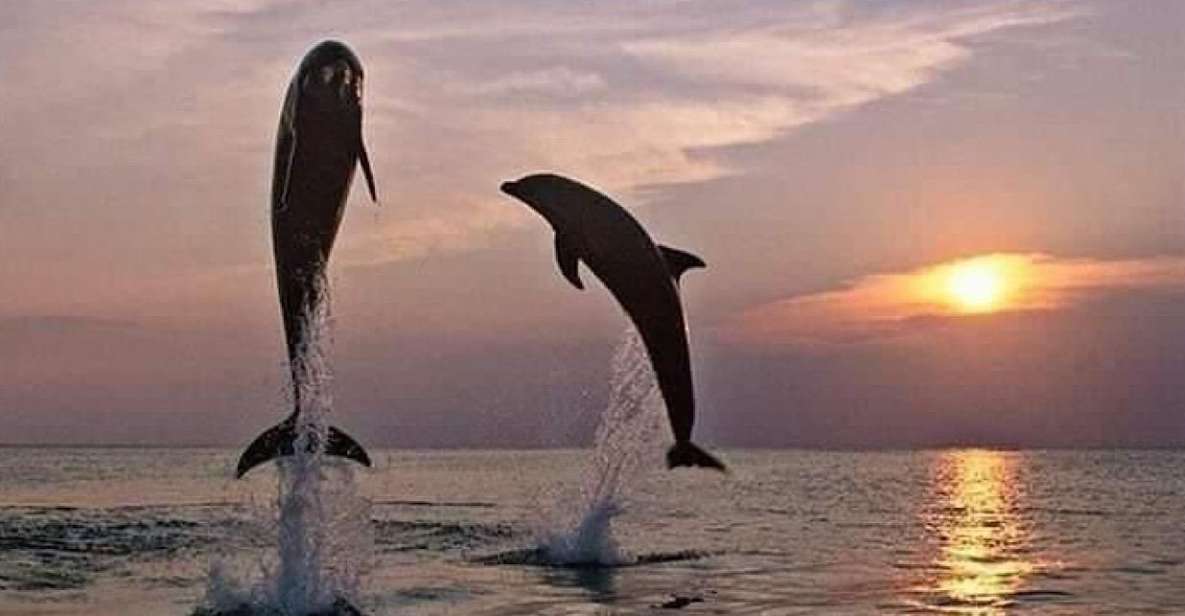 Lovina: Natural Hot Spring & Sunrise Dolphins Tour - Key Points