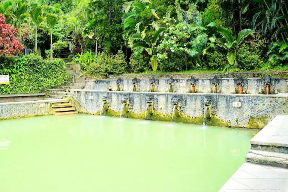 Lovina: Natural Hot Spring & Sunrise Dolphins Tour - Banjar Hot Spring Experience