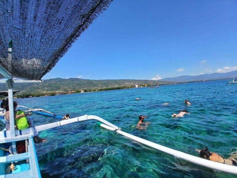 Lovina : SPECIAL FULL TRIP dolphin watch, swim, and snorkel - The Sum Up
