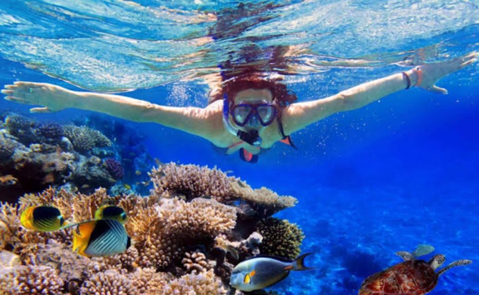 Lovina: Sunrise Dolphin Tour, Snorkeling, Waterfall & Temple - Pricing and Booking