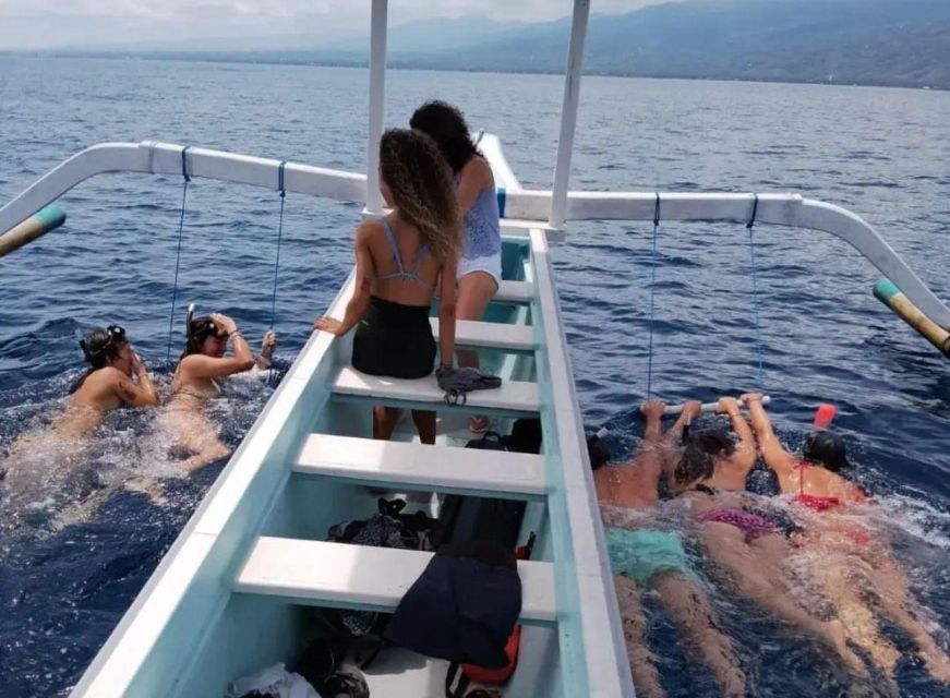 Lovina: Sunrise Dolphin Tour, Snorkeling, Waterfall & Temple - Dolphin Watching