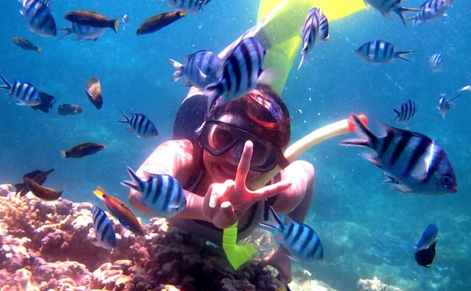 Lovina: Sunrise Dolphin Tour, Snorkeling, Waterfall & Temple - Snorkeling Experience