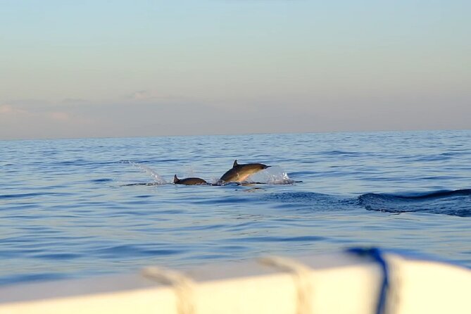 Lovina Sunrise Dolphin With Option Snorkeling and Waterfall - Meeting and Transport Details