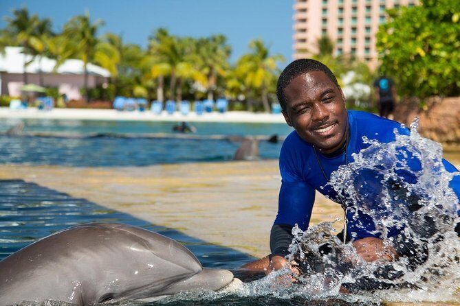 Low Cost Airport (Each-way) - Who Should Consider This Transfer?