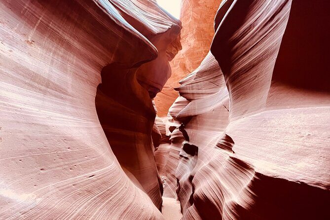 Lower Antelope Canyon and Horseshoe Bend Day Tour with Lunch - Exploring Lower Antelope Canyon: A Natural Masterpiece