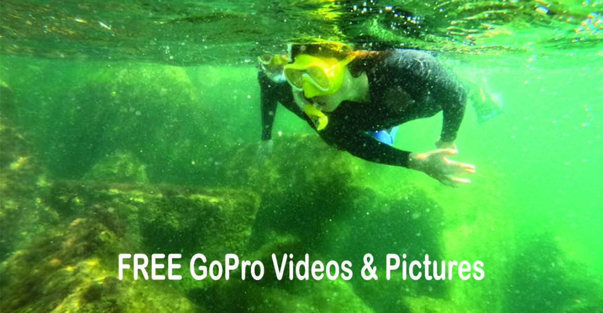 Lower Grand Lagoon: Panama City Beach Guided Snorkeling Tour - Snorkeling Highlights