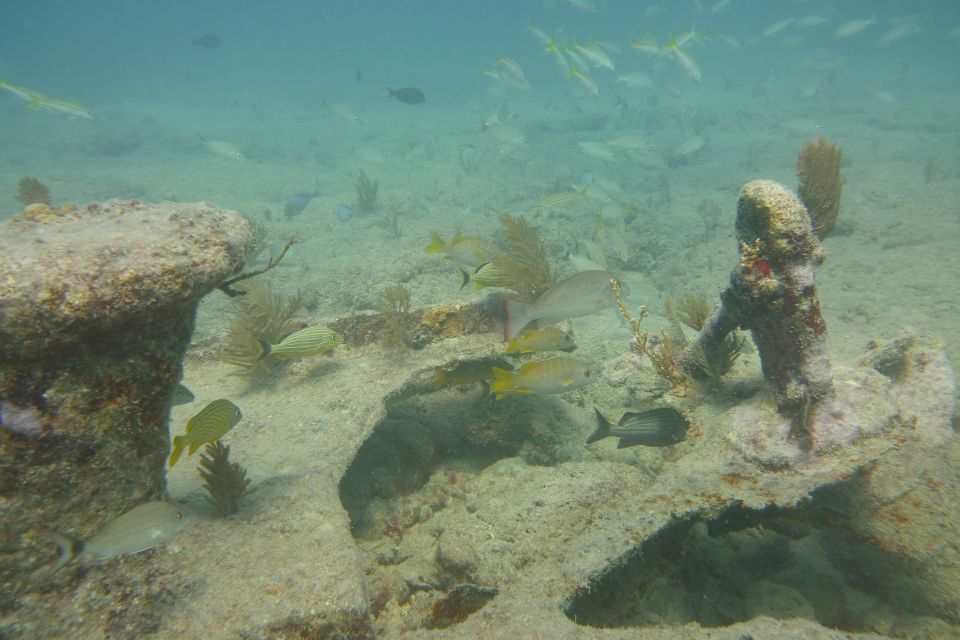 Lower Grand Lagoon: Panama City Beach Guided Snorkeling Tour - Additional Information