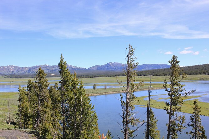 Lower Loop Yellowstone Wildlife Scenic - Jackson Hole Day Tour | WY - Pickup and Confirmation