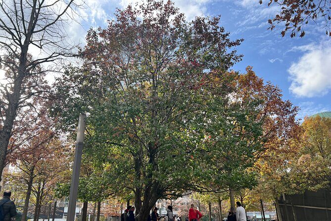 Lower Manhattan: From Financial Power to Enduring Hope - Who Should Consider This Tour?