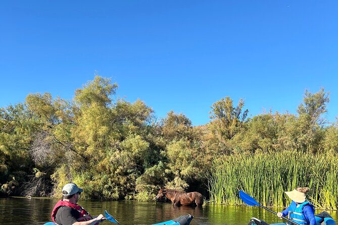 Lower Salt River Guided Kayak Tours - The Sum Up: Is It Worth It?