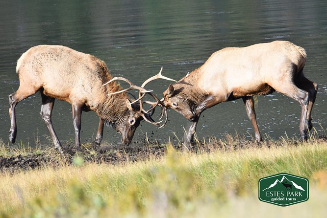 Lower Valley Tour RMNP - Tour Guides