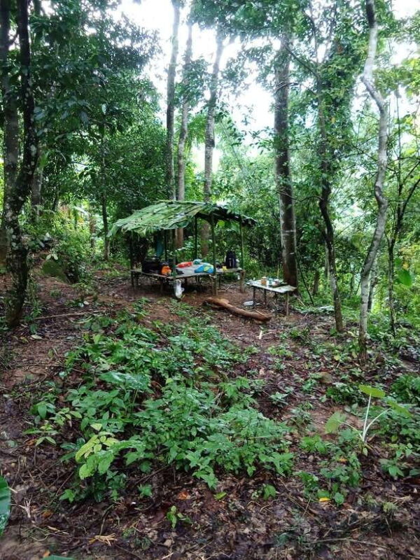Luang Prabang: 3 Days Ethnic and Forest Living - Mountain - Final Thoughts