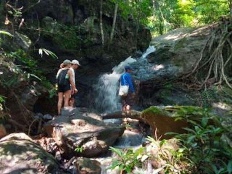 Luang Prabang: 3 Days Ethnic Forest Living - Mekong - Who Should Consider This Tour?