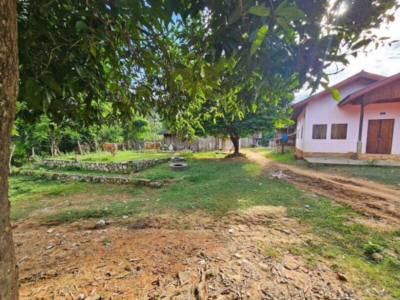 Luang Prabang: Authentic Lao Village & Farm Experience Day - Who Will Appreciate This Tour?