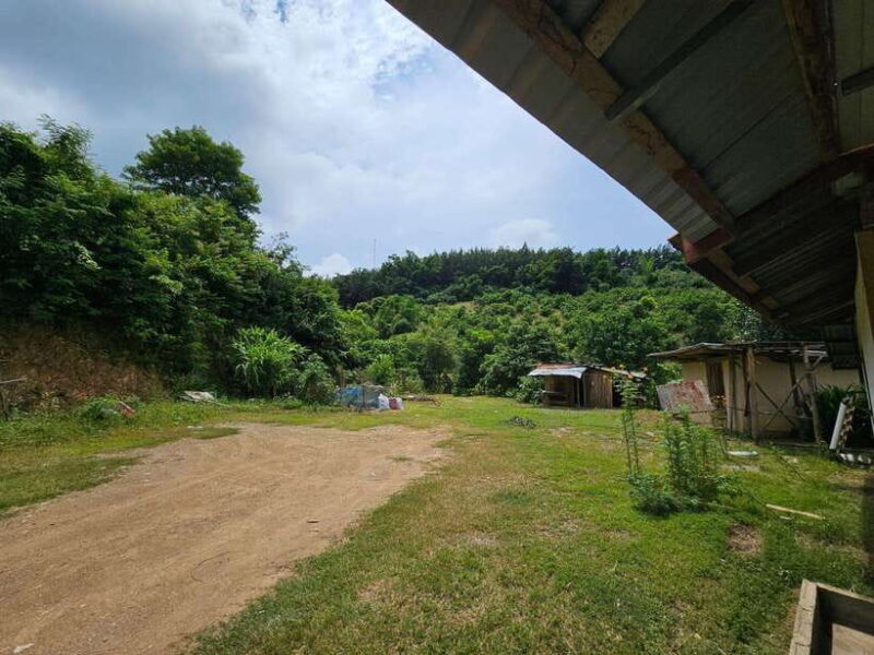 Luang Prabang: Authentic Lao Village & Farm Experience Day - FAQ