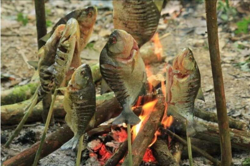 Luang Prabang: Forest Camping Experience with Cooking Class - Summary: Is It Worth It?
