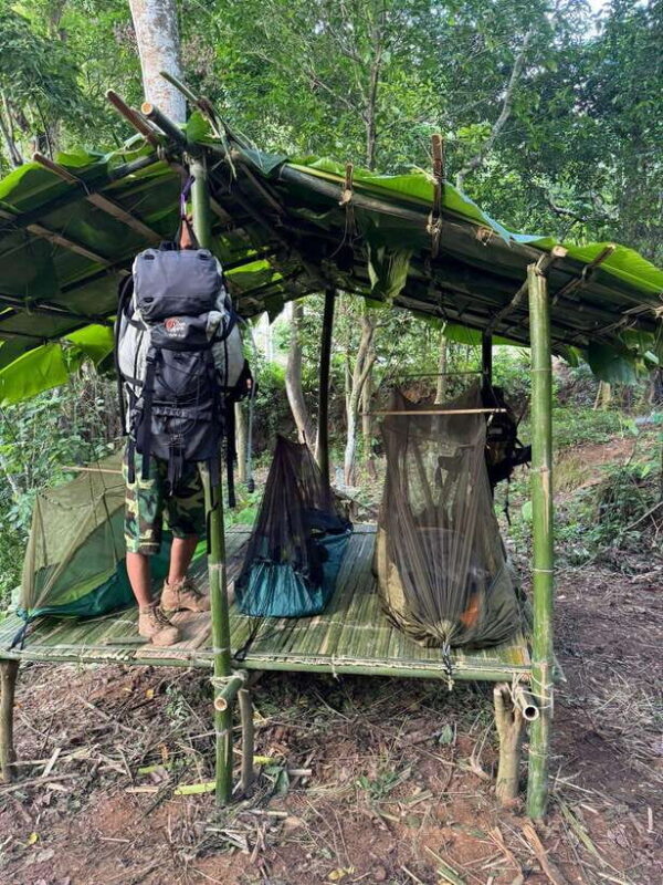 Luang Prabang: Forest Camping Experience with Cooking Class - Who Should Consider This Tour?