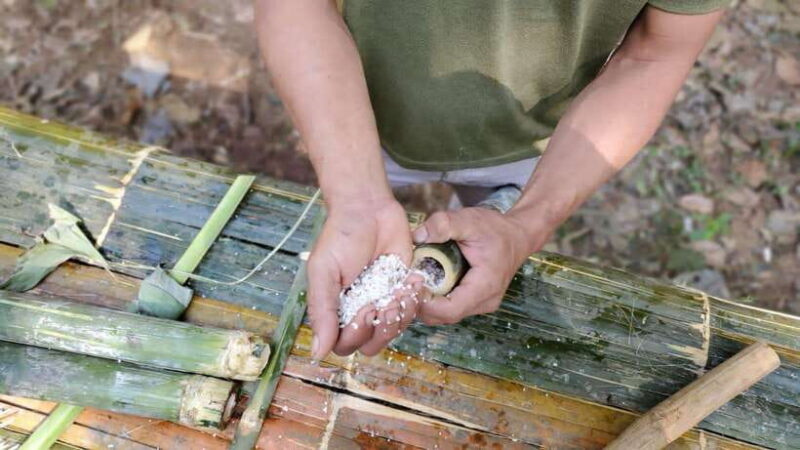 Luang Prabang: Full Day Forest Cooking Experience - FAQ