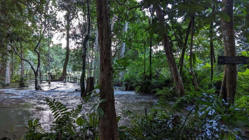 Luang Prabang: Full Day Trek to Kuang Si Waterfall & Village - How the Tour Begins: Hotel Pickup & Transport