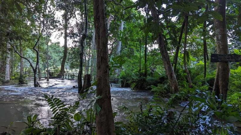 Luang Prabang: Full Day Trek to Kuang Si Waterfall & Village - Reaching Kuang Si Waterfalls: A Reward for Your Effort