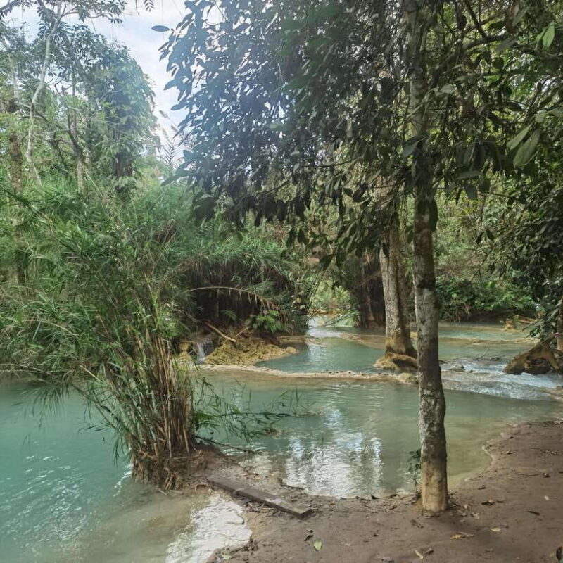 Luang Prabang: Kuang Si Falls, River Tracing Hiking - Key Points