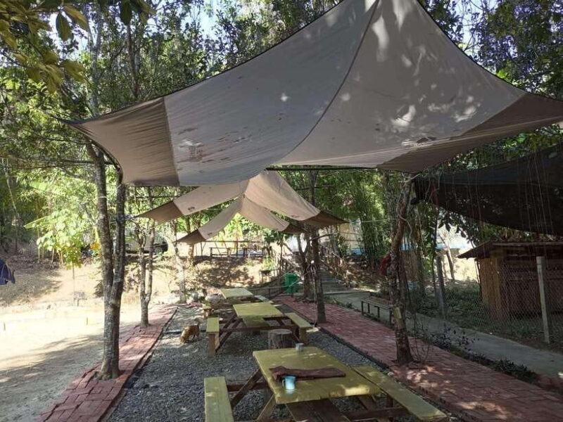 Luang Prabang: Kuang Si Falls, River Tracing Hiking - Discovering Luang Prabang: A Journey Through Waterfalls, Villages, and Wildlife
