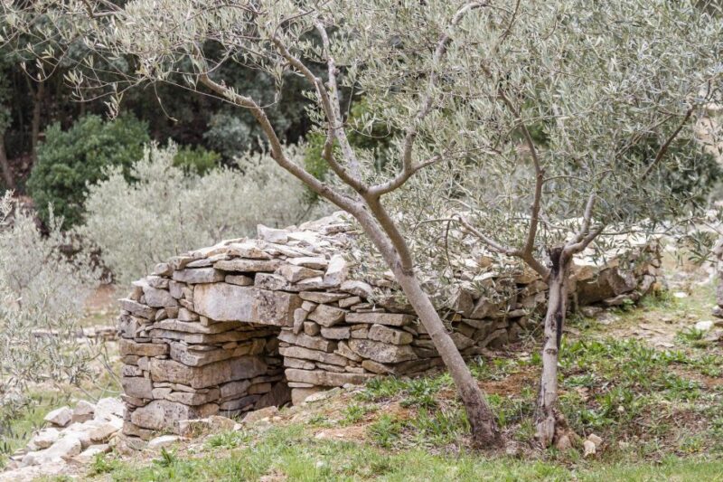 Luberon: Lagnes Bike Adventure - Key Points