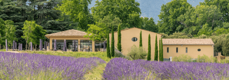 Luberon: Vine to Glass at Château De Sannes - Key Points
