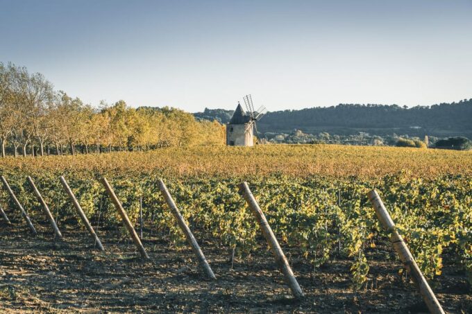 Luberon: Vine to Glass at Château De Sannes - Ask Away