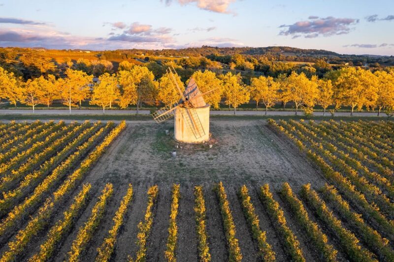 Luberon: Vineyard Tour and Wine Tasting - Participant Information