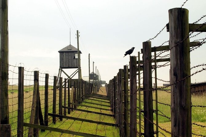 Lublin and Majdanek Small Group Tour From Warsaw With Lunch - Cancellation and Support