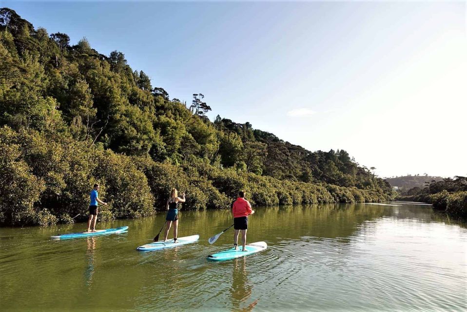 Lucas Creek Waterfall SuP Tour - Key Points