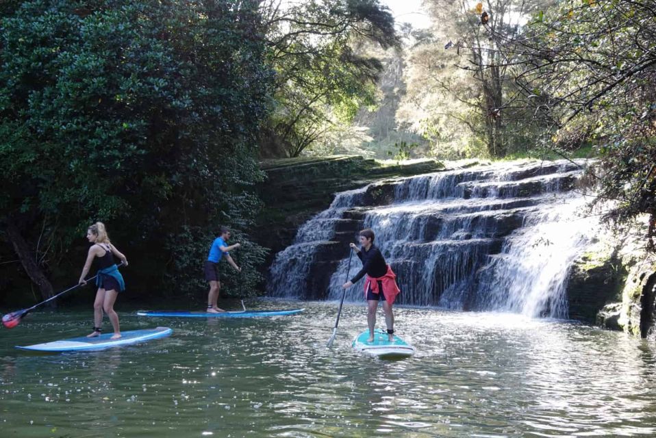 Lucas Creek Waterfall SuP Tour - Experience Description