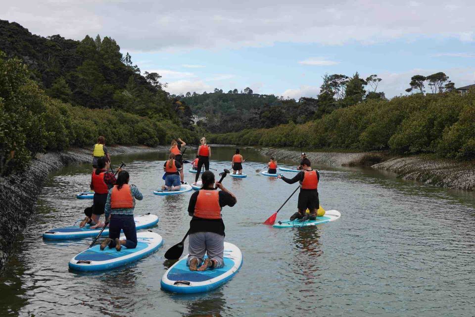 Lucas Creek Waterfall SuP Tour - Guided Tour