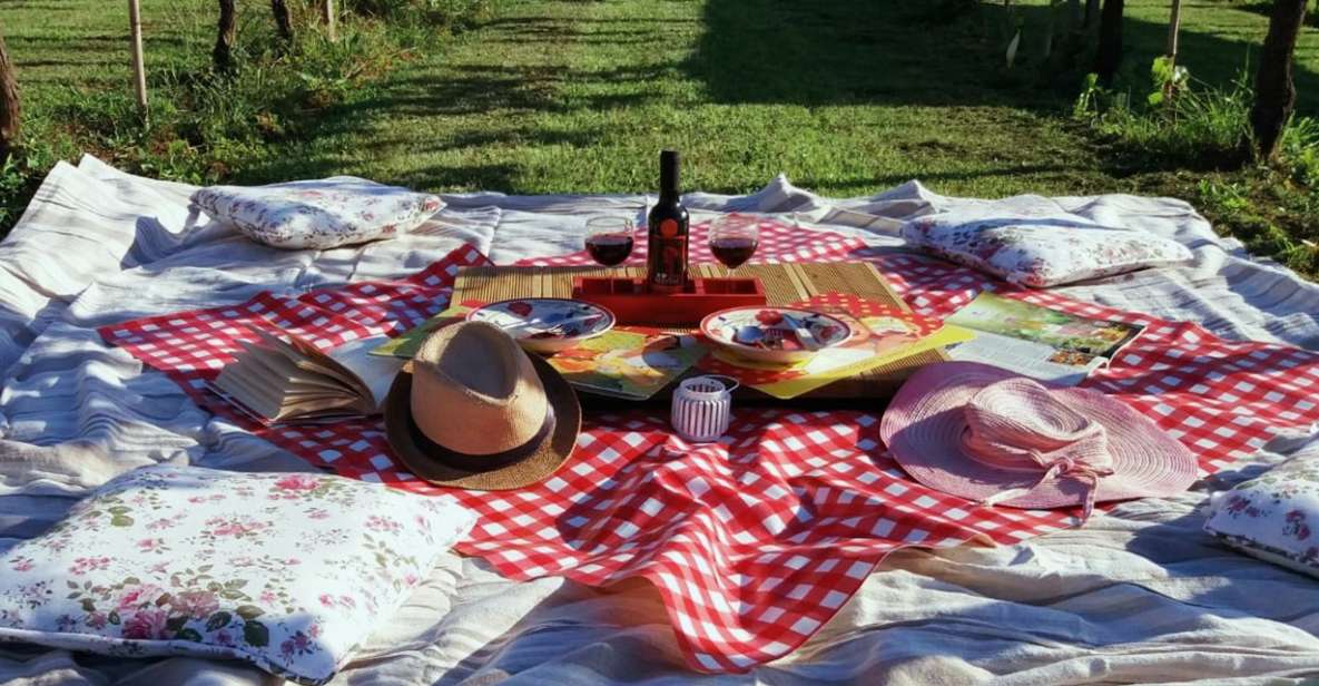 Lucca: Bicycle Rental With Picnic Lunch at a Vineyard - Key Points